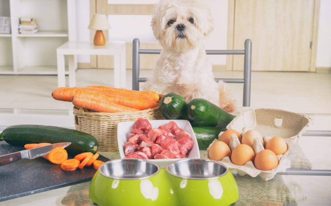 Ways to Supplement Your Dog Through Diet