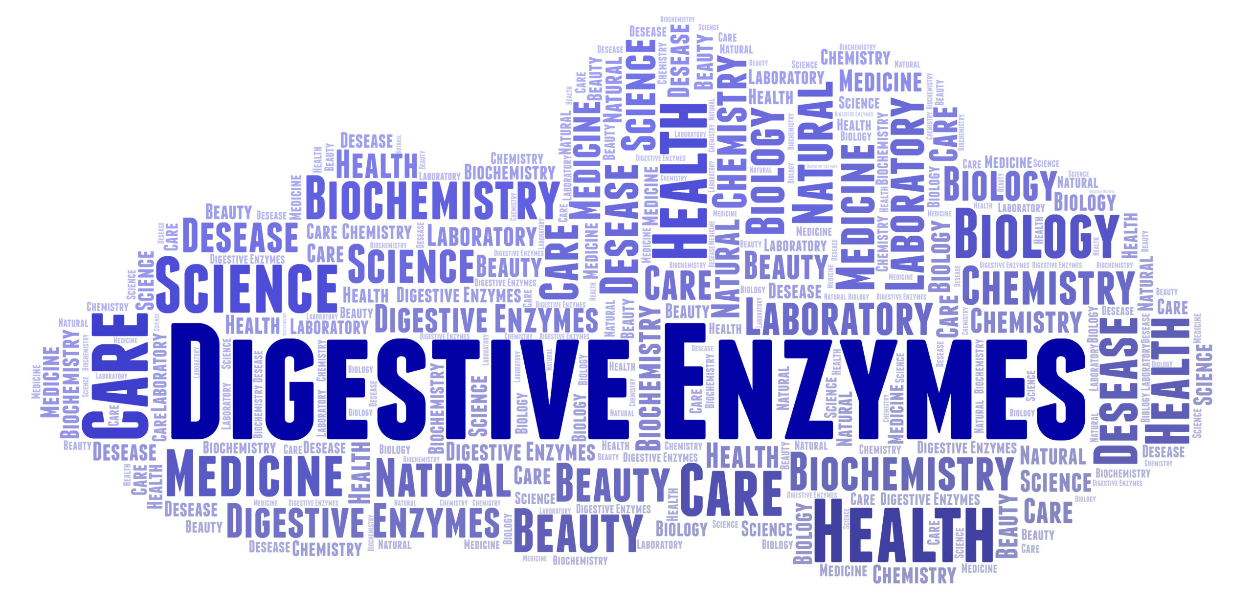 DIgestive Enzymes: Crucial to Your Dog’s Health