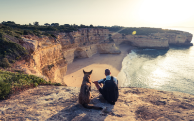 The Best Countries for Dogs to Live in