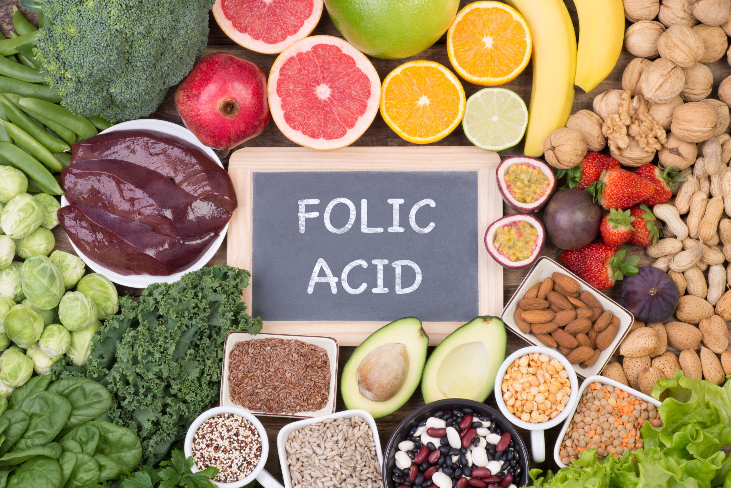 Benefits of Folic Acid for Your Dog